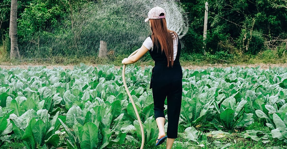 Organic and sustainable gift ideas for father’s day