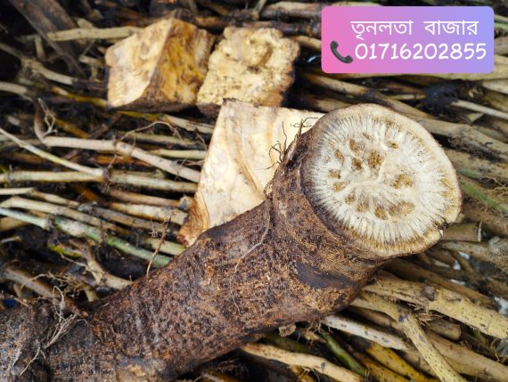 প্রিমিয়াম মাটির নিচের অংশ এঁটো চুই-ঝাল 1 কেজি - Image 9