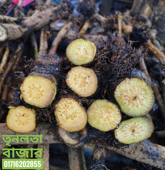 গাছ চুই-ঝাল 1 কেজি - Image 2