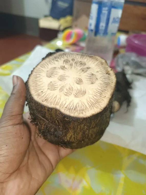 মিক্সড চুই-ঝাল 1 কেজি - Image 6