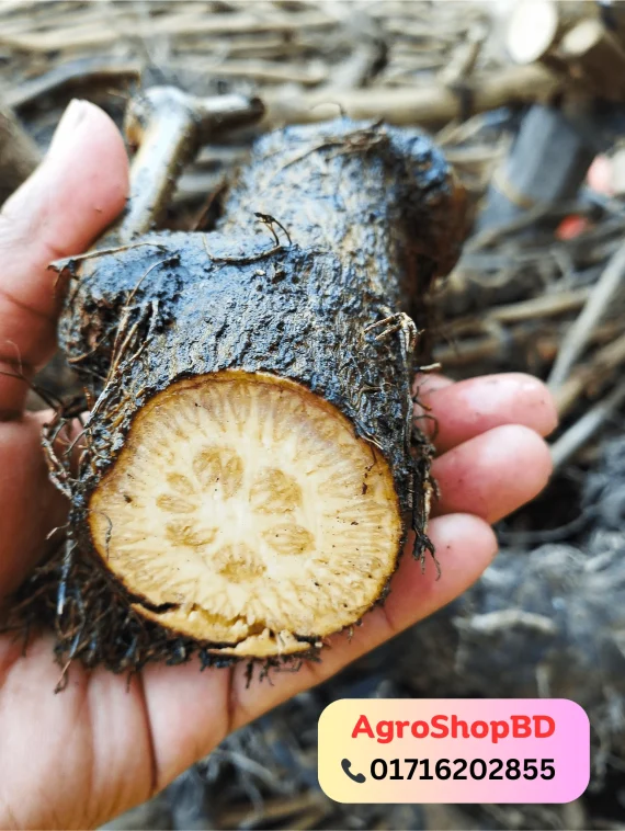মিক্সড চুই-ঝাল 1 কেজি - Image 5