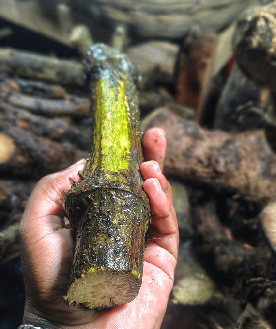 মোটা চুই-ঝাল 500 গ্রাম - Image 4
