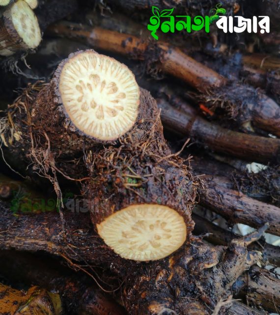 প্রিমিয়াম মাটির নিচের অংশ এঁটো চুই-ঝাল 1 কেজি - Image 4