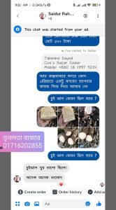 Review (4)